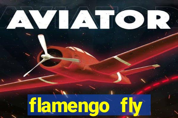 flamengo fly emirates ultimas noticias